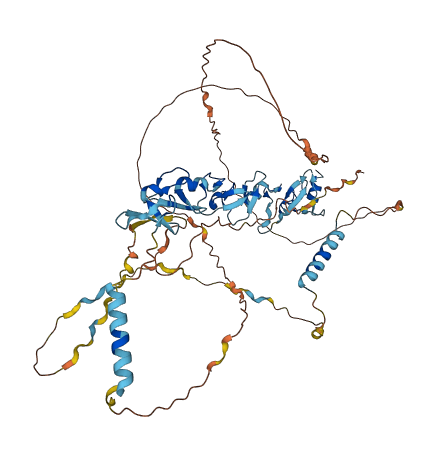 ZYX 3D structure