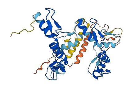 ZNF124 3D structure