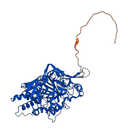 ETFDH 3D structure