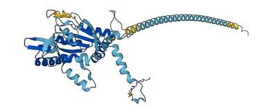 SEPTIN7 3D structure