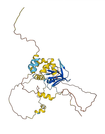 ADRM1 3D structure