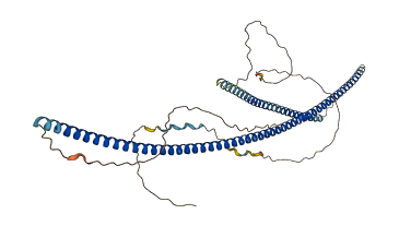 CCDC6 3D structure