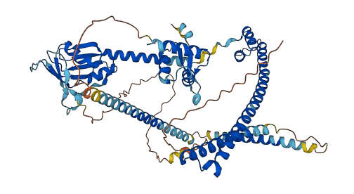 ENOX2 3D structure