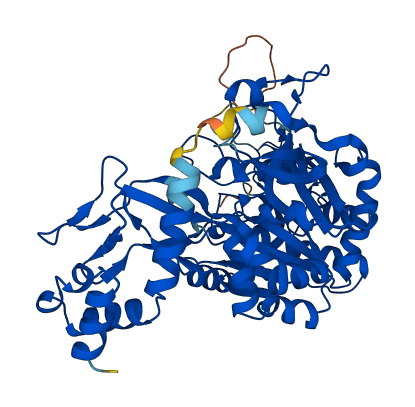 UAP1 3D structure