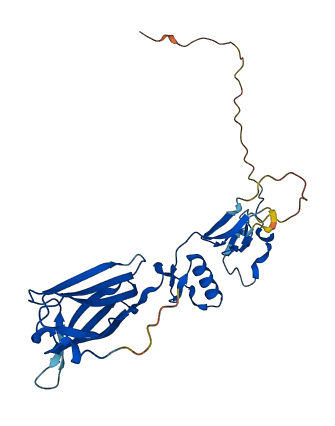 IGFBP7 3D structure