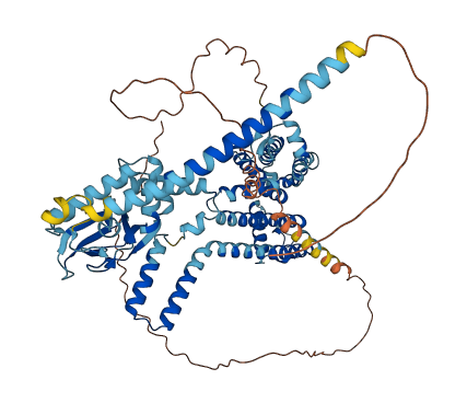 CNGA3 3D structure