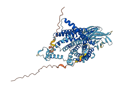 SLC15A2 3D structure