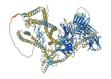 LAMA4 3D structure