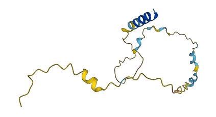 PRR4 3D structure
