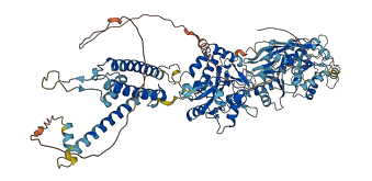 GRIK5 3D structure