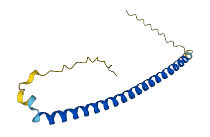 BATF 3D structure
