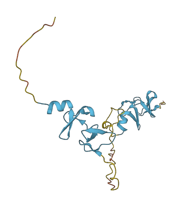CSRP2 3D structure