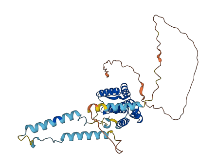 SNAPC1 3D structure
