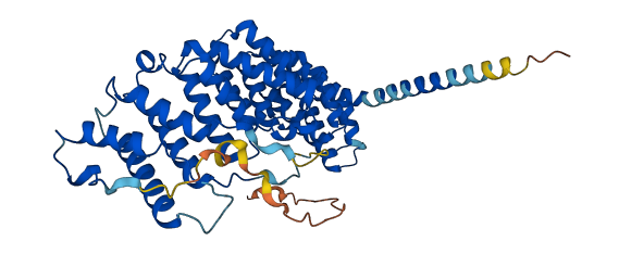 PPP2R5E 3D structure