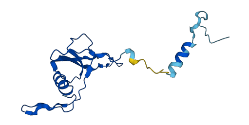 MRPL23 3D structure