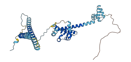 CDC37 3D structure