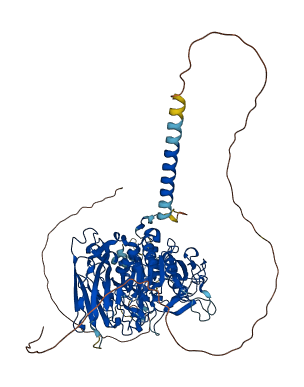 PCSK7 3D structure