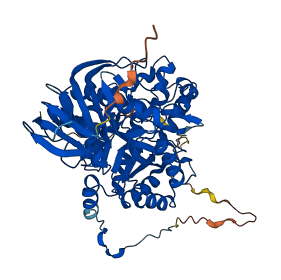 DPYSL2 3D structure