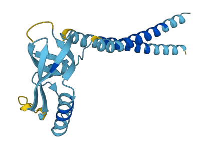 KCNMB1 3D structure