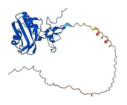 SNRNP35 3D structure