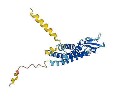 SYPL1 3D structure