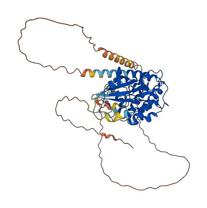 CAMK4 3D structure