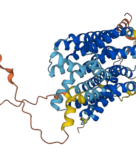 SLC18A3 3D structure
