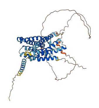 C3AR1 3D structure
