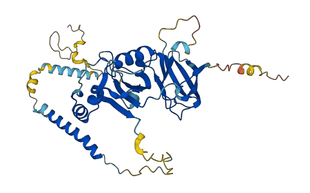 SGCA 3D structure