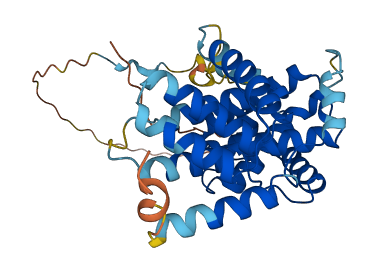 CCNG2 3D structure
