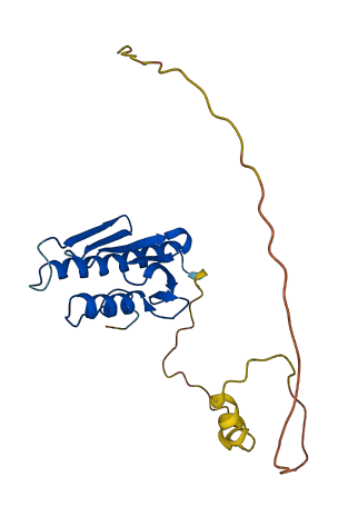 FXN 3D structure