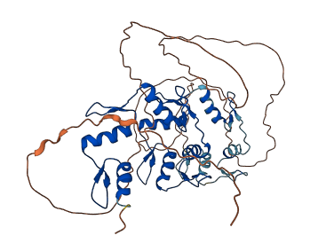 ZNF239 3D structure