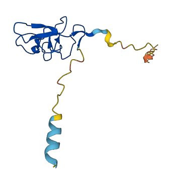 LPAL2 3D structure