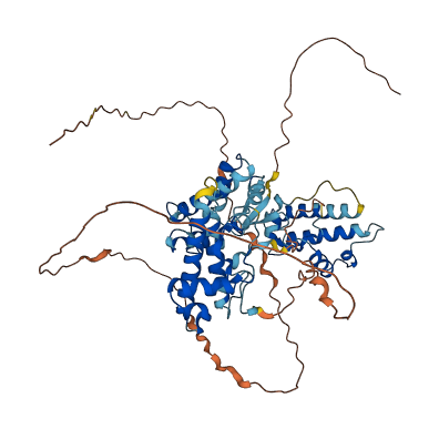 ECM1 3D structure