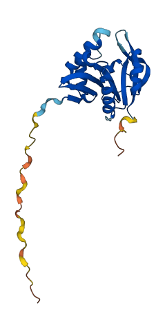 AANAT 3D structure