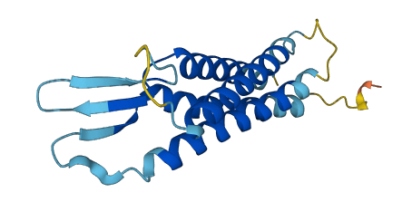 NKG7 3D structure