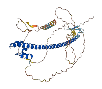 NFE2 3D structure