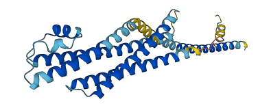 STX1A 3D structure