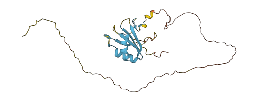 SRSF7 3D structure