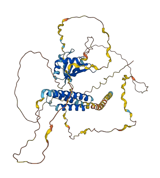 CPSF6 3D structure