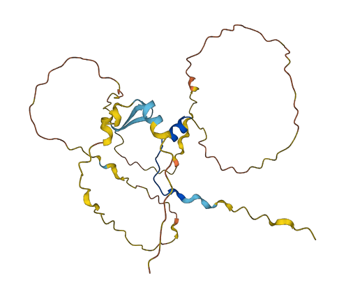 POU2AF1 3D structure