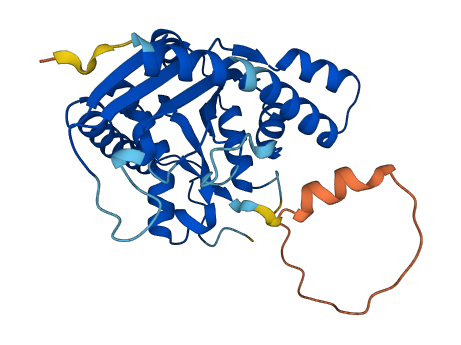 TAZ 3D structure