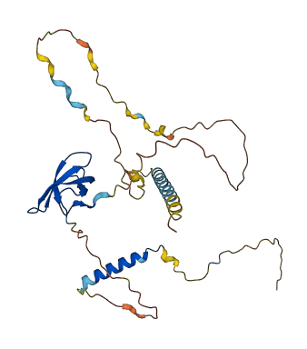 SMN1 3D structure