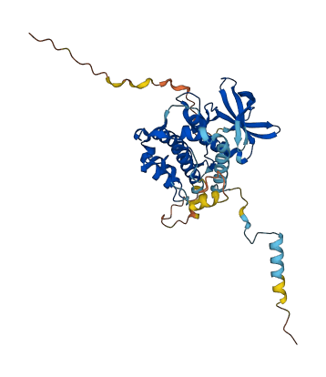 MAPKAPK3 3D structure