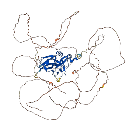 TBR1 3D structure