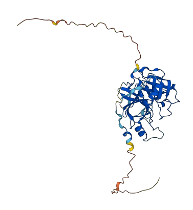 PRSS8 3D structure