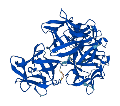 FSCN1 3D structure