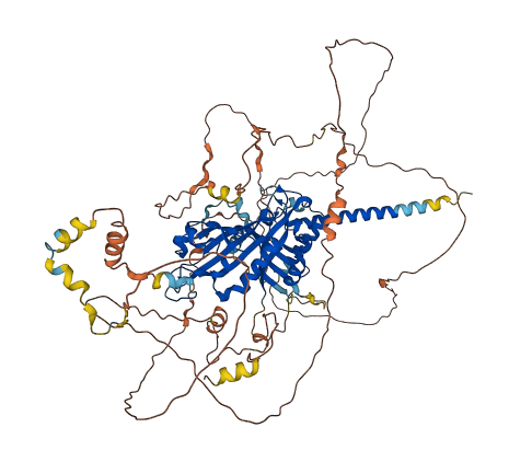 HIF1A 3D structure