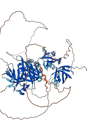 IFI16 3D structure