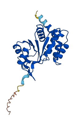 CDKN3 3D structure
